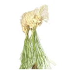 Fresh Green Garlic / Lasun