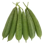 Ridge Gourd